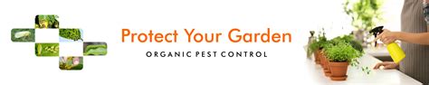 Amazon.in: Casa De Amor: ORGANIC PEST CONTROL