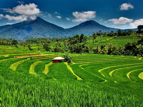 BERSINAR BALI TOUR (2026) All You Need to Know BEFORE You Go (with ...