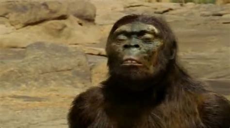 Australopithecus Documentary 的图像结果