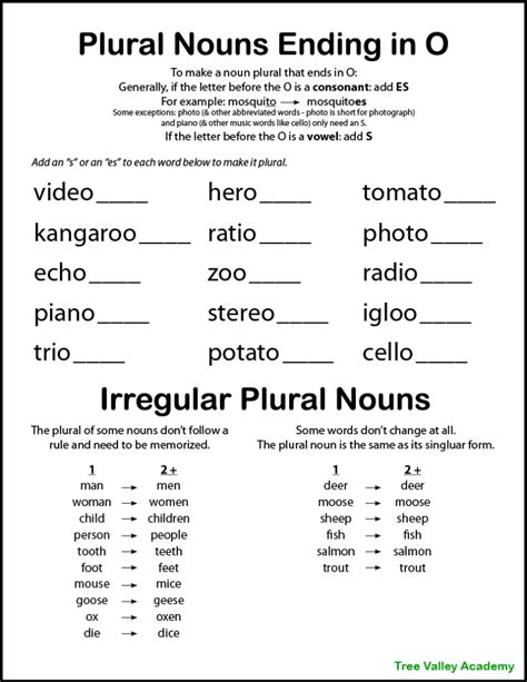 Printable Plural Nouns Worksheets for Kids - Tree Valley Academy