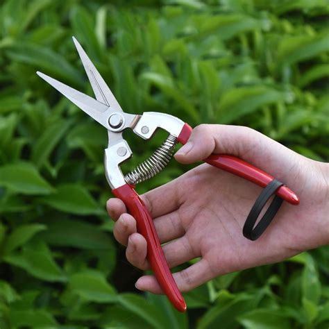 Home Gardening Scissors Flower Shears Fruit Pruning Multi-craft Garden ...