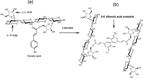 Arabinoxylan Microspheres: Structural and Textural Characteristics
