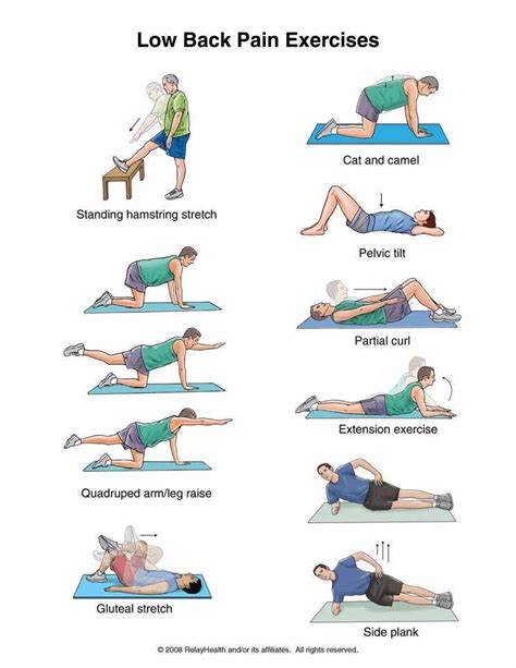 Image result for Pandiculation Exercises for Lower Back