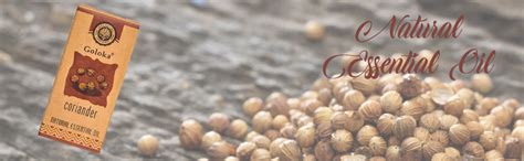 Buy GOLOKA Natural Coriander Essential Oil Pack of 3 (10 ML Each Pack ...