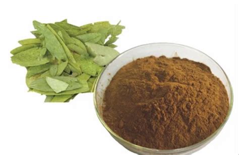 PhytoChemicals - Piperine Extract 95% Manufacturer from Nagpur