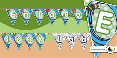 Entomology Lab Dramatic Play Bunting (teacher made) - Twinkl