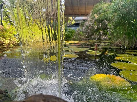 Beautiful, Peaceful, Delicious Food & Amazing Coffee! - Review of EL ...