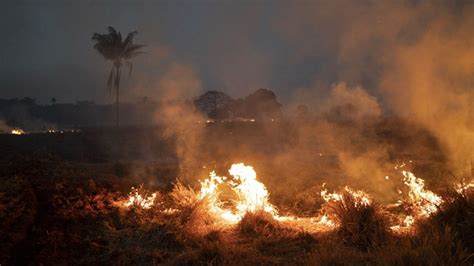 亚马逊雨林野火持续燃烧 焚烧后的森林成一片灰烬【3】--国际--人民网