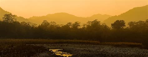 The Jamoon | Jim Corbett Hotels | About Corbett