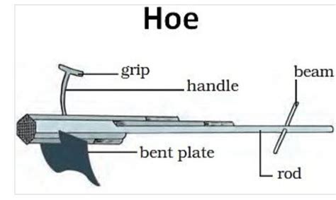 explain the structure of working of Hoe And write a short answer with ...