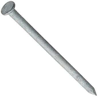 Hillman Fasteners 461284 3 In. 10D Galvanized Common Nail : Amazon.in ...