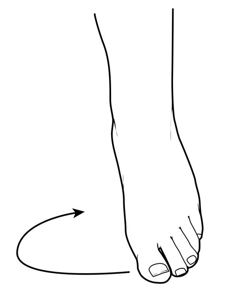 Foot and Ankle Conditioning Program - OrthoInfo - AAOS