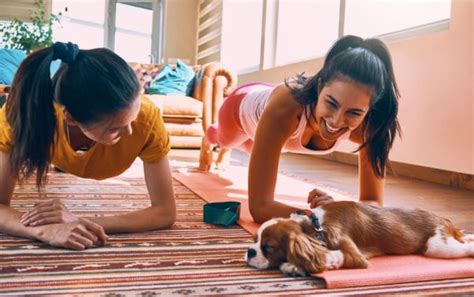 Exercise Examples 的图像结果