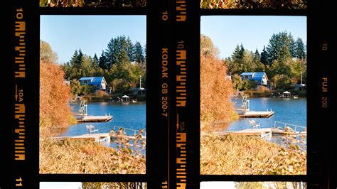 Here we go again: Fuji 200 vs Kodak Gold 200 — Robin Ferand