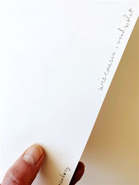 WISCONSIN State Flower Map: Wood Violet: PRINT — Turn-of-the-Centuries