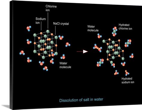 Image result for Process of Salt Dissolution