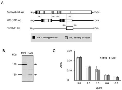 Intranasal Immunization with Nasal Immuno-Inducible Sequence-Fused ...