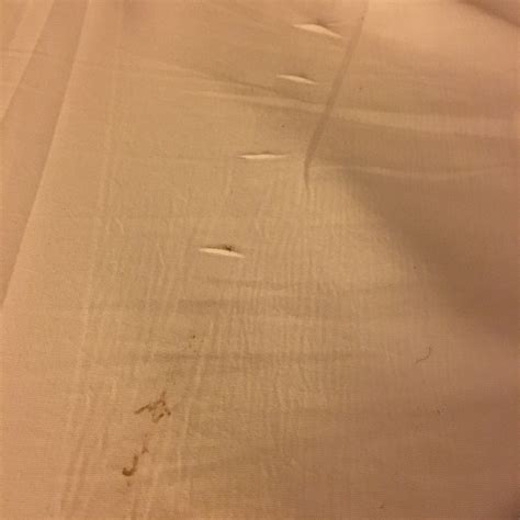 HOMESTEAD ARB - Specialty Hotel Reviews & Photos - Tripadvisor