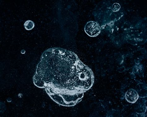 Space Heads on Behance