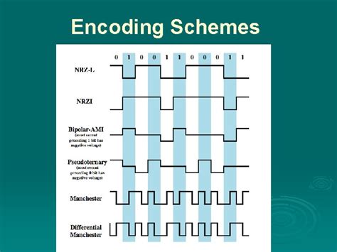 Image result for Encoding Schemes