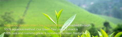 Hollywood Secrets Pure Green Tea Liquid Extract 50ml : Amazon.in: Beauty