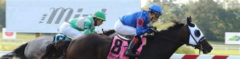 Saranya | BRISnet.com Trusted Data & More
