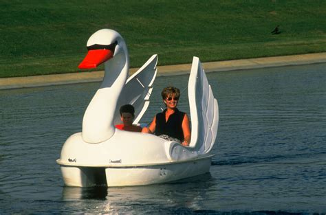 Paddle Boat: Swan Paddle Boat