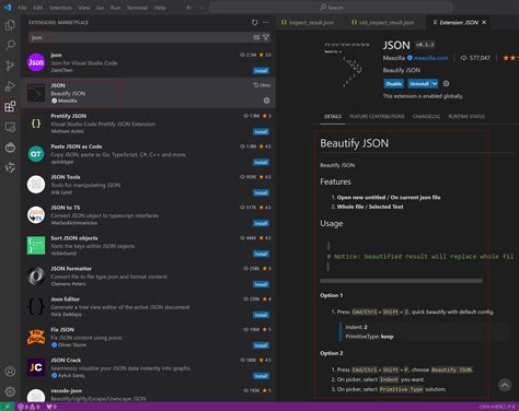 Vscode Package.json Python 的图像结果