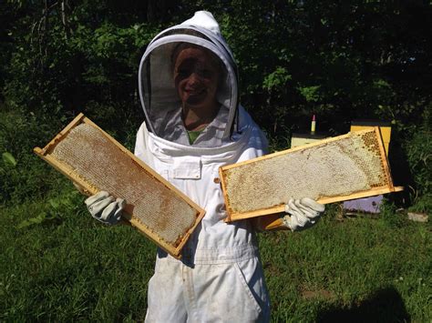 Local Honey 的图像结果