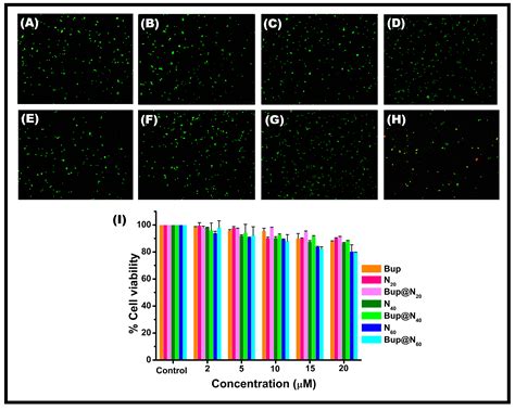 Niosomal Bupropion: Exploring Therapeutic Frontiers through Behavioral ...