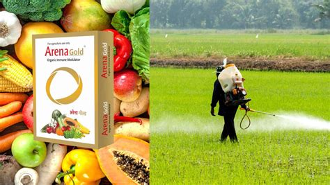 Introducing Arena Gold: The Revolutionary Natural Solution for Protect ...