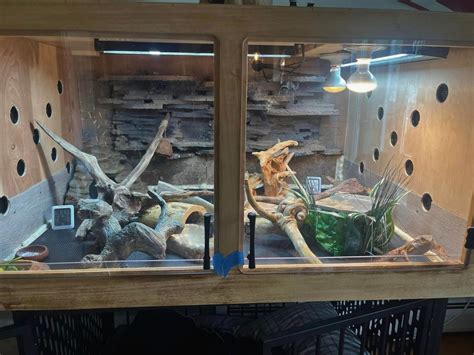 50 Best Bearded Dragon Enclosure Ideas - ThePetEnthusiast