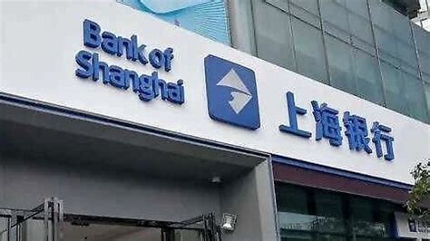 上海银行的业绩到底跌给谁看？_凤凰网