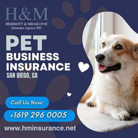 Pet Business Insurance San Diego – H&M Insurance Agency