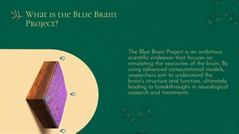 Blue Brain Project 的图像结果