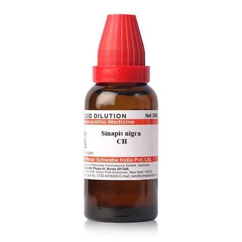 Buy Dr.Willmar Schwabe Sinapis Nigra 30Ch-30Ml Online at Low Prices in ...