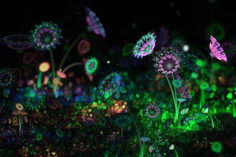 Image result for Alien Garden