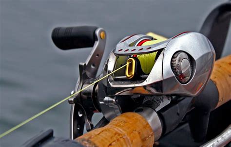 Tipos de carretilhas para diferentes modalidades de pesca