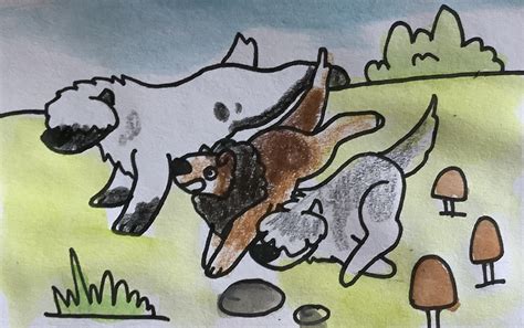 Exploration Feb 2022 13 by Little-Miss-Eevee on DeviantArt