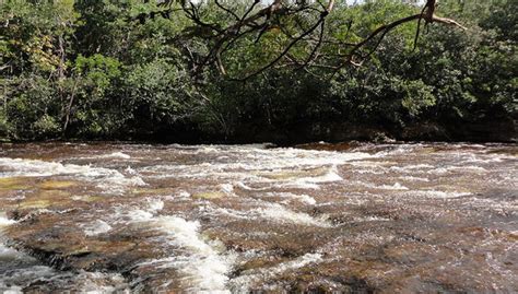Cascadas del Amazonas, Manaus - Central de Reservas