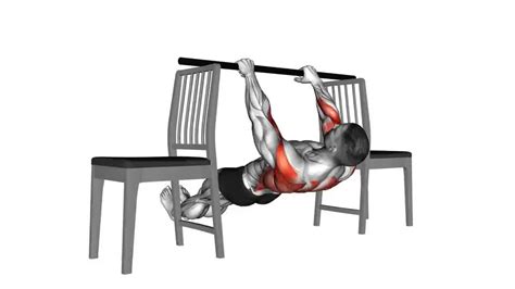 Image result for Inverted Row Exercise Muscles Worked