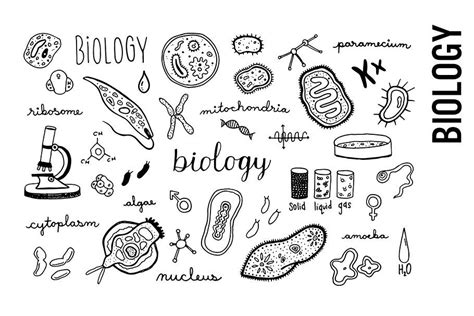 Biology Cute Pictures 的图像结果