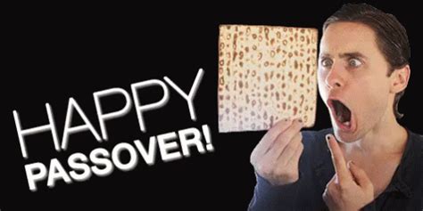Image result for Passover Animated