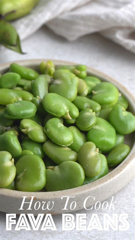 Fava beans – Artofit