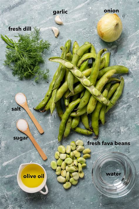 Recipes With Canned Fava Beans at Beth Anker blog