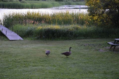 CUT FOOT SIOUX RESORT (Deer River) - Campground Reviews & Photos ...