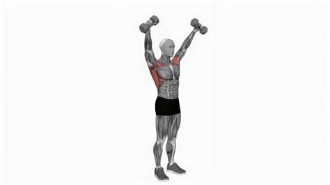 Dumbbell standing around world fitness exercise workout animation video male muscle highlight 4K ...