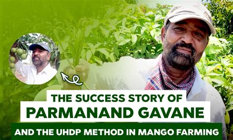 UHDP Method in Mango Farming: Parmanand Gavane's Success Story