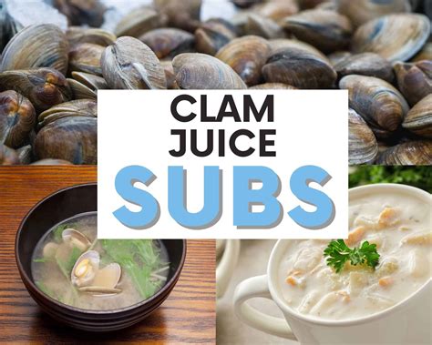 Splash Of Flavor: 10 Great Clam Juice Substitutes | The Olive Branch Nest