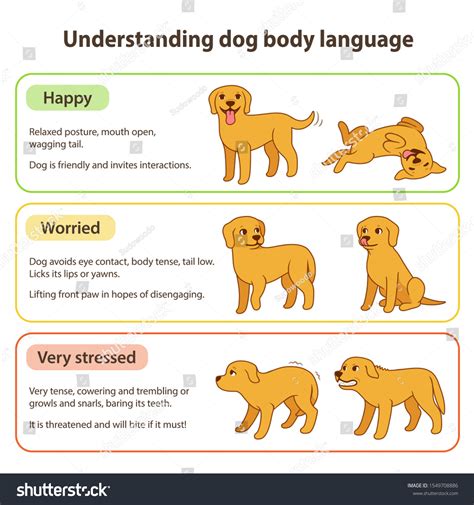 Dog Body Language Infographic Chart Understanding Stock Illustration ...